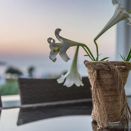 Totally Sea View House